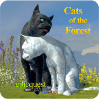Cats of the Forest APKs MOD