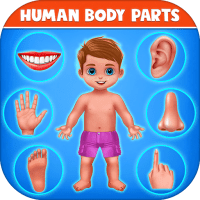 Human Body Parts Preschool Kids Learning APKs MOD