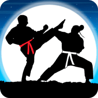 Karate Fighter Real battles APKs MOD