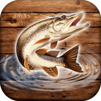 Fish Rain Sport Fishing Games. Fishing Simulator. APKs MOD
