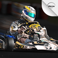 Kart Racing Ultimate APKs MOD 092809