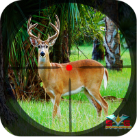 Safari Deer Hunting Africa Best Hunting Game 2021 APKs MOD