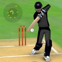 Smashing Cricket a cricket game like none other APKs MOD