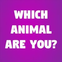 Which Animal Are You APKs MOD