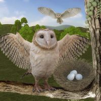Wild Owl Bird Family Survival Bird Simulator APKs MOD