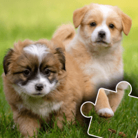 Dogs Cats Puzzles for kids toddlers 2 APKs MOD