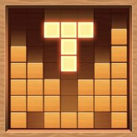 Wood Puzzle Block Classic Puzzle Block Brain Game APKs MOD