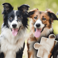 Dogs Cats Puzzles for kids toddlers APKs MOD