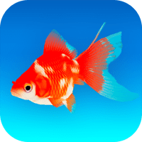 Goldfish 3D Relaxing Aquarium Fish Tank APKs MOD