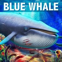Blue Whale Simulator Deep Ocean 1.1.5 APKs MOD