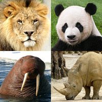 Animals Quiz Learn All Mammals and Dinosaurs 3.3.0 APKs MOD