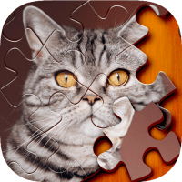 Jigsaw Puzzle 1.1.4 APKs MOD