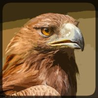 Eagle Hunting Journey 1.79 APKs MOD