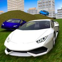 Multiplayer Driving Simulator 1.09 APKs MOD
