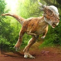 Pachycephalosaurus Simulator 1.0.6 APKs MOD