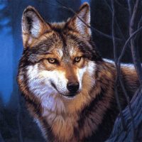 Wolf Jigsaw Puzzles 2.10.9 APKs MOD