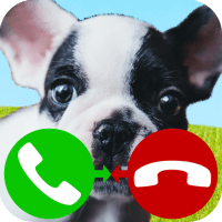 fake call dog game 2 6.0 APKs MOD