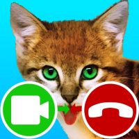 fake call video cat game 6.0 APKs MOD