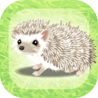 Hedgehog Pet 1.7 APKs MOD