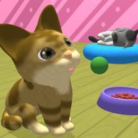 Cat Collect nekoatsume 1.3.2 APKs MOD