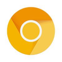 Chrome Canary Unstable 98.0.4699.0 APKs MOD