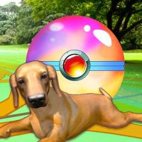 Puppy GO 3.6 APKs MOD