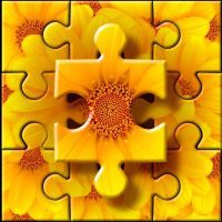 Jigsaw puzzles PuzzleTime 4.5.4 APKs MOD