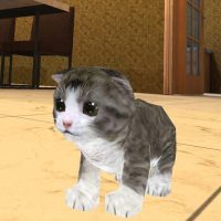 Kitten Cat Simulator 3D Craft 2.0.4.3 APKs MOD
