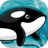 Orca Fish Home Adventure 1.6 APKs MOD