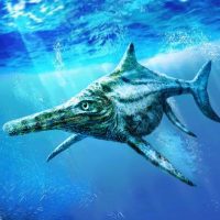 Ichthyosaurus Simulator 1.0.3 APKs MOD