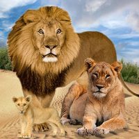 Jungle Kings Kingdom Lion Family 2.7 APKs MOD