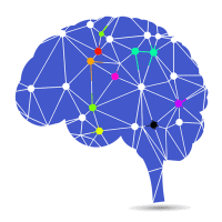 Memory Training Brain Test 2.5.5 APKs MOD
