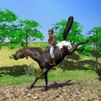 Wild Horse Ride 1 APKs MOD