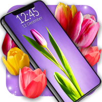 Tulip Spring 4K Wallpapers 6.8.4 APKs MOD