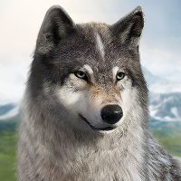 Wolf Game The Wild Kingdom APKs MOD