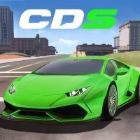 Car Driving Simulator 1.0.17 APKs MOD