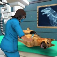 Pet Hospital Simulator Game 3D 1.7 APKs MOD