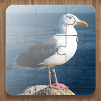 Bird Puzzle Games APKs MOD