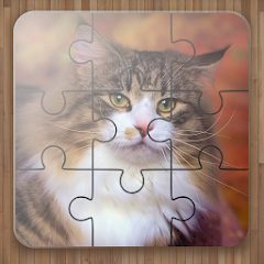 Cat Puzzle Game APKs MOD