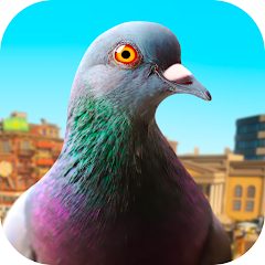 Pigeon APKs MOD