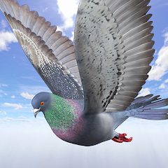 Wild Pigeon Simulator APKs MOD