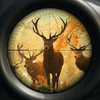 Hunting Shooting Hunter world APKs MOD