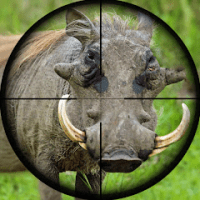 Wild Hunt Pig Sniper Shooting APKs MOD scaled