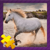 Animal Jigsaw Puzzles APKs MOD