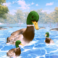 Duck Family Life Simulator 3D 1.0.5 APKs MOD