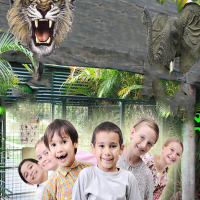 Real Zoo Trip Game 1.6 APKs MOD