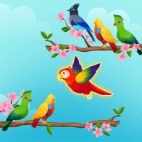 Bird Sort Puzzle Color Game 1.2 APKs MOD