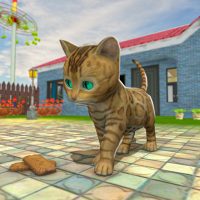 Kitten Game Pet Cat Simulator 6.3 APKs MOD